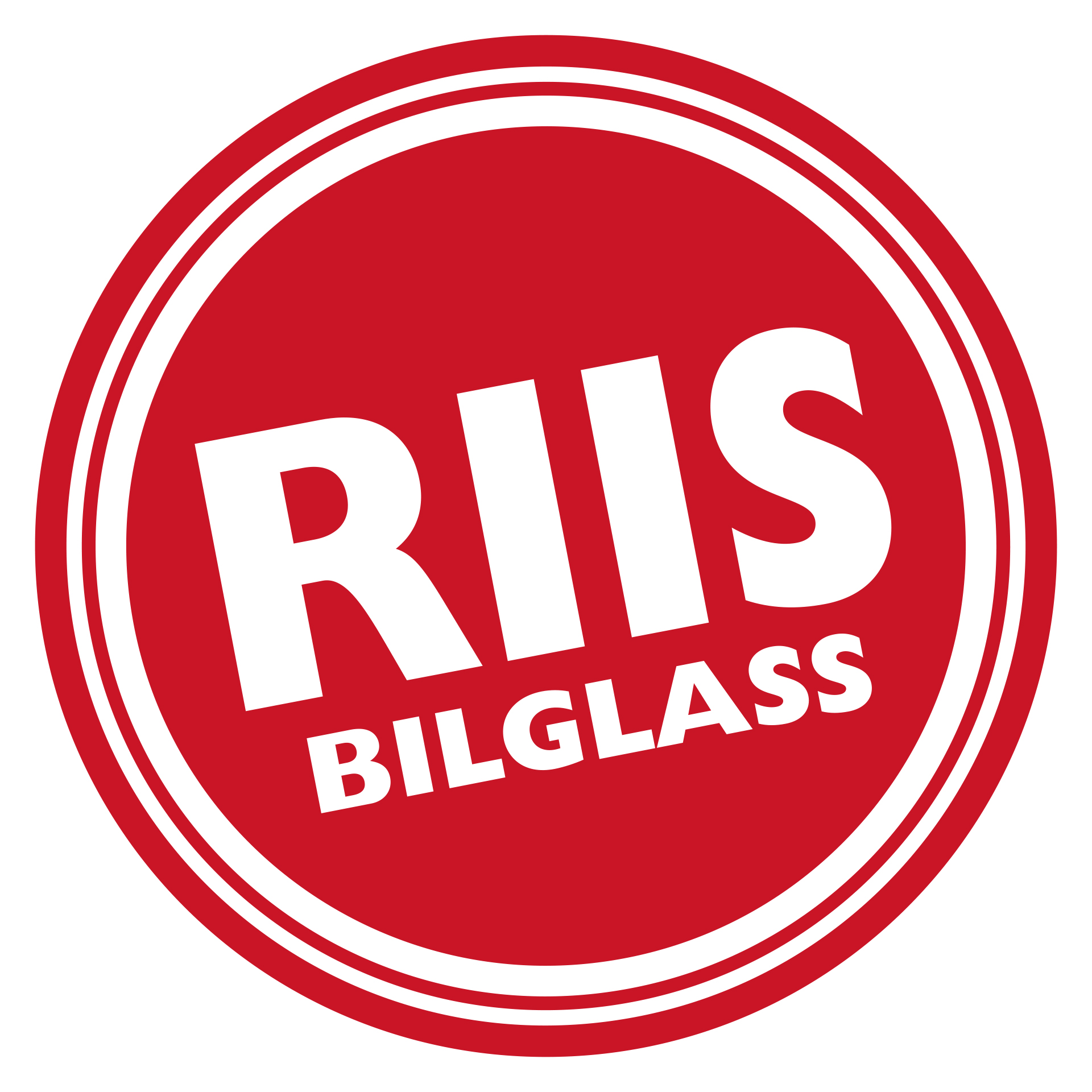 RiisBilglass_VismaInnkjøpsportal_1920x1920_01.jpg