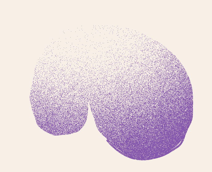 purple1.gif