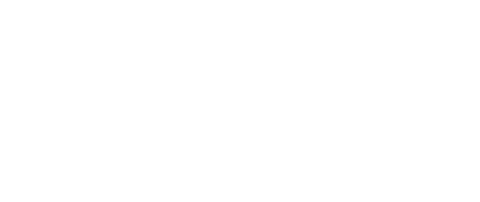 keyforce.png