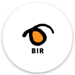Logo BIR transport